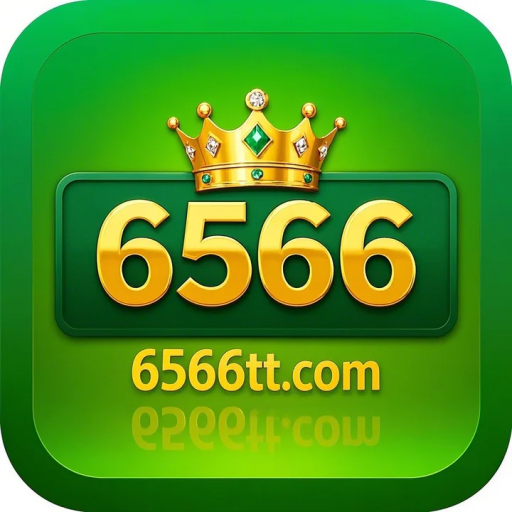 6566